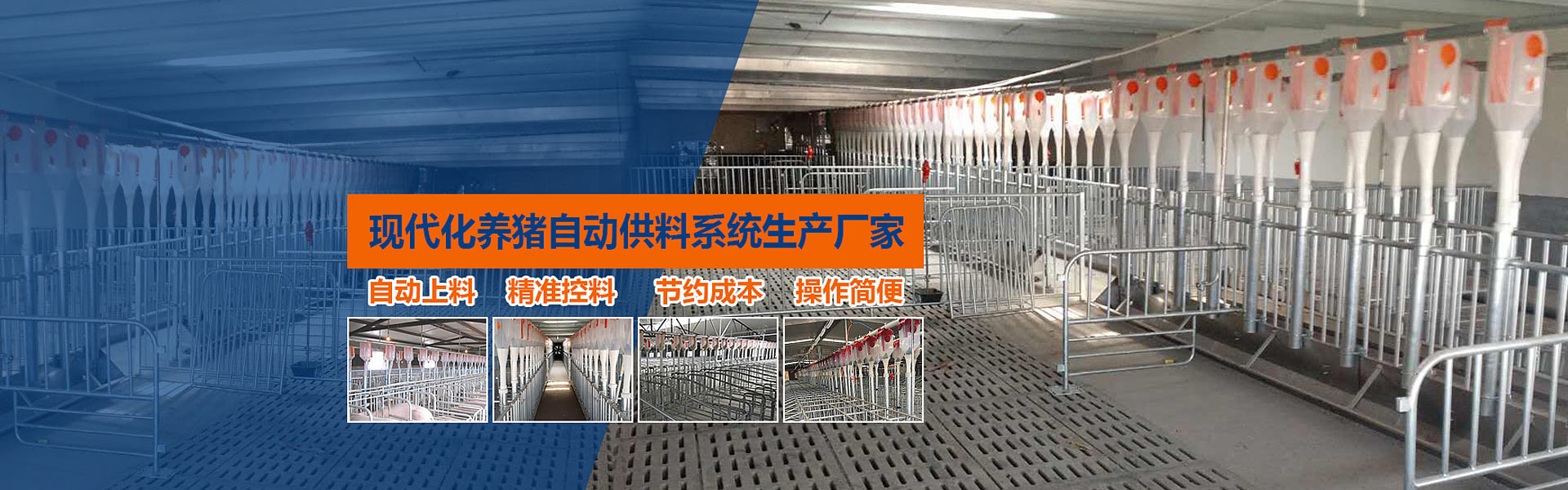 豬舍料線(xiàn)