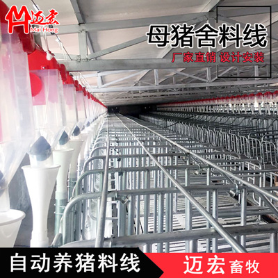 豬廠(chǎng)自動(dòng)供料系統(tǒng)-豬舍料線(xiàn) 母豬料線(xiàn)